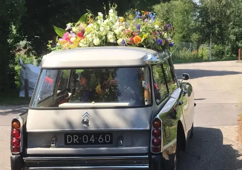 Old Timer Citroen Snoek